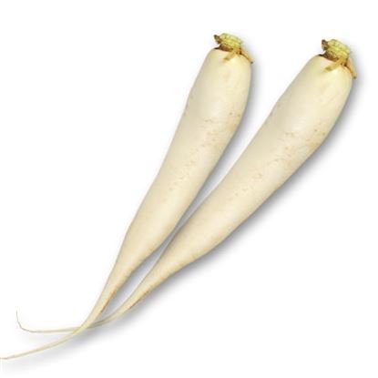 Obrazek Rzepa biała luz