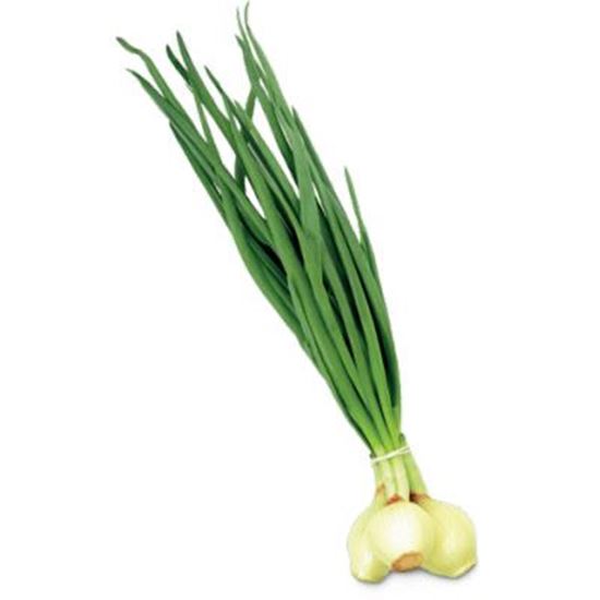 Obrazek Cebula dymka sztuka