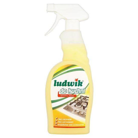 Obrazek Ludwik do kuchni Mleczko do czyszczenia kuchni 750 ml