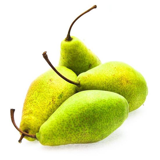 Obrazek Gruszka konferencja luz