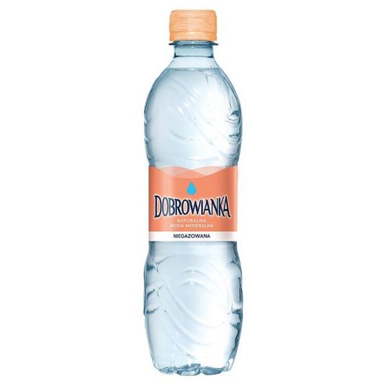 Obrazek Dobrowianka Naturalna woda mineralna niegazowana 500 ml