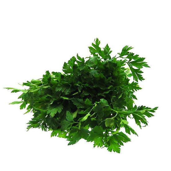 Obrazek Natka pietruszki sztuka