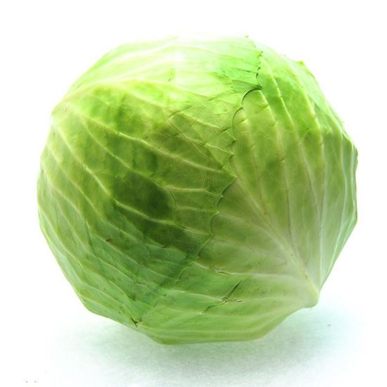 Obrazek Kapusta biała luz