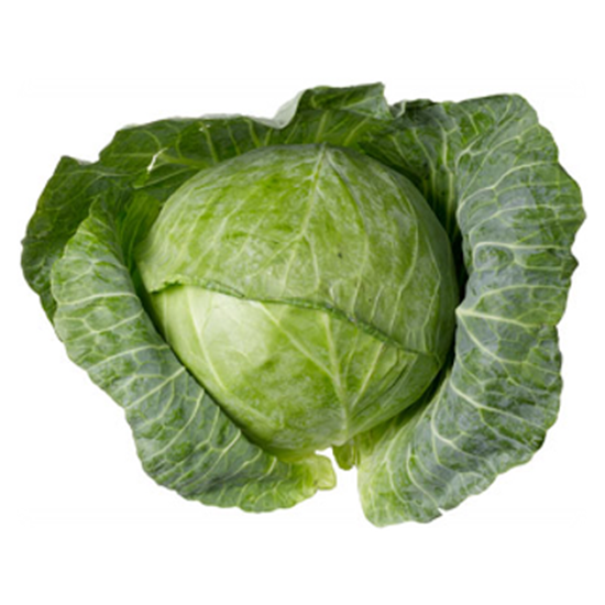 Obrazek Kapusta młoda sztuka