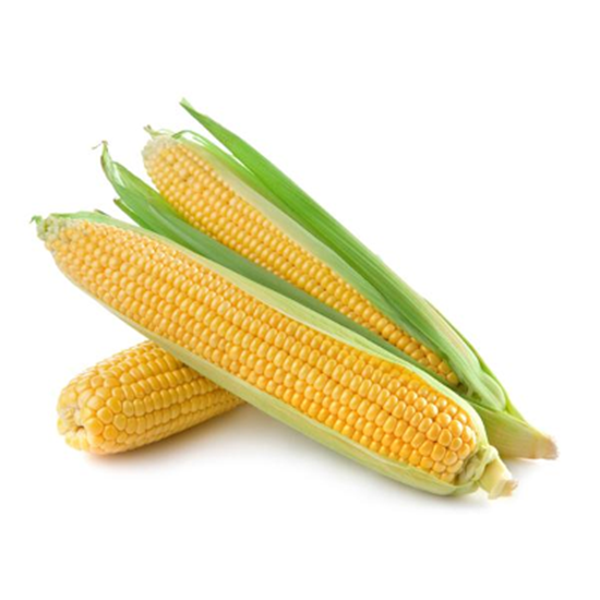 Obrazek Kukurydza kolba sztuka