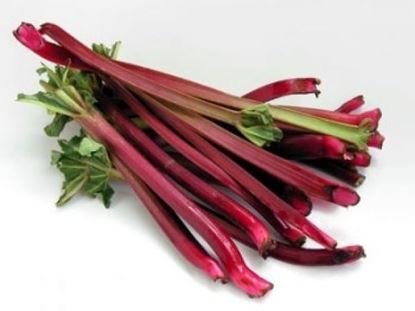 Obrazek Rabarbar luz