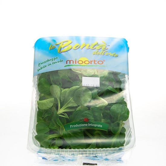 Obrazek Roszponka 100g sztuka