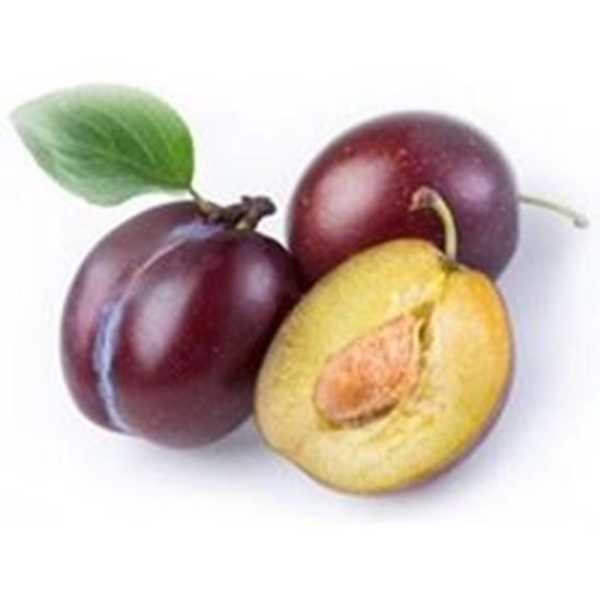 Obrazek Śliwka mieszaniec luz