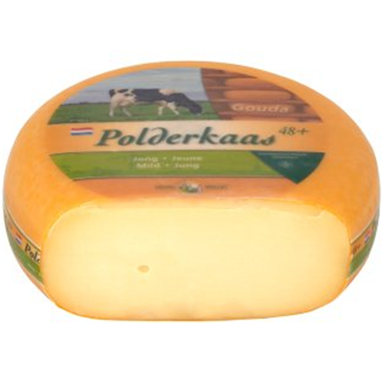 Obrazek Jansen holenderski luz          