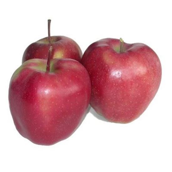 Obrazek Jabłka Gloster luz
