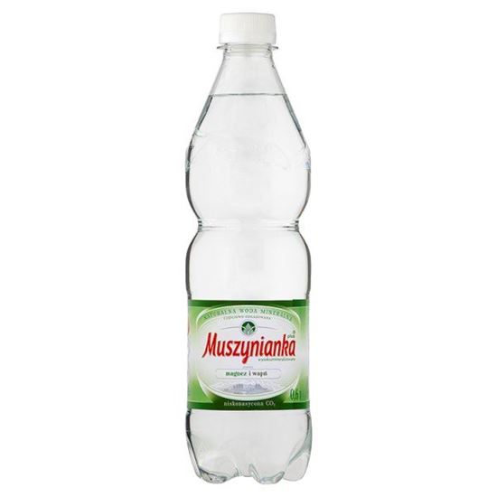 Obrazek Muszynianka plus Naturalna woda mineralna wysokozmineralizowana niskonasycona CO2 0,6 l