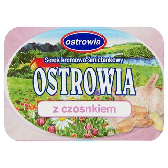 Ostrowia z czosnkiem Serek kremowo śmietankowy 120 g