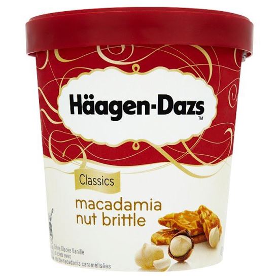 Häagen-Dazs Macadamia Nut Brittle Lody 500 ml