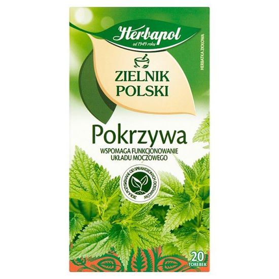 Herbapol Zielnik Polski Herbatka ziołowa pokrzywa 30 g (20 x 1,5 g)