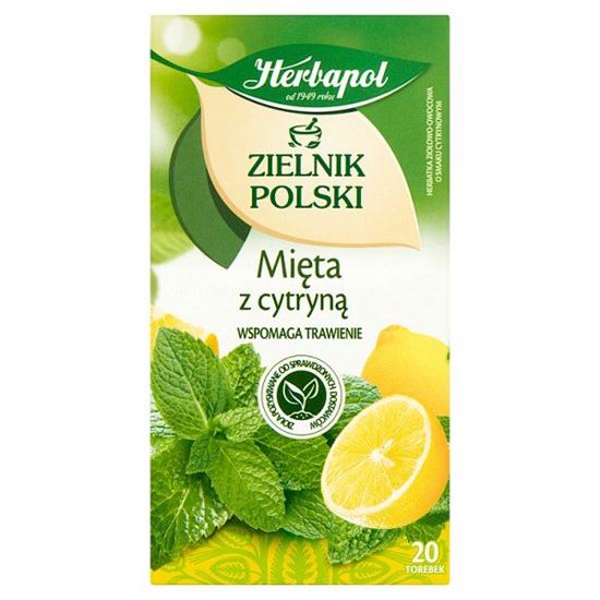 Herbapol Zielnik Polski Herbatka ziołowo-owocowa mięta z cytryną 30 g (20 x 1,5 g)