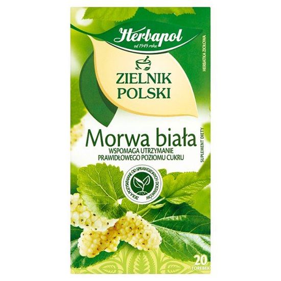 Herbapol Zielnik Polski Suplement diety herbatka ziołowa morwa biała 40 g (20 x 2 g)