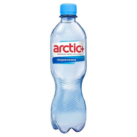Arctic+ Naturalna woda mineralna niegazowana 500 ml