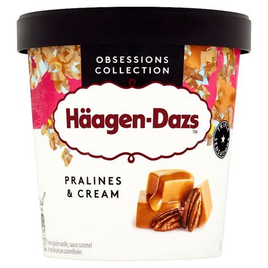 Häagen-Dazs Pralines & Cream Lody 460 ml