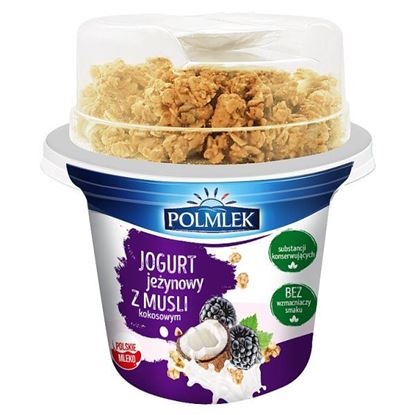 Polmlek Jogurt jeżynowy z musli kokosowym 210 g