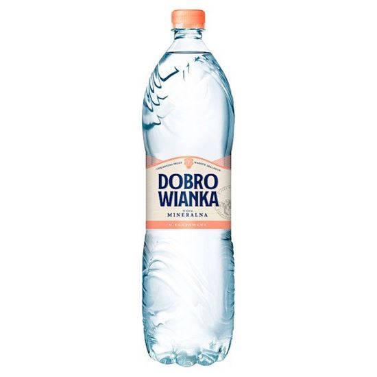 Dobrowianka Woda mineralna niegazowana 1,5 l