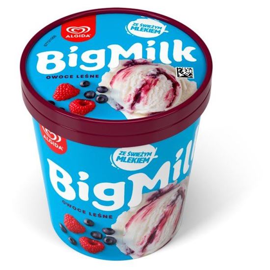 Big Milk Lody owoce leśne 450 ml