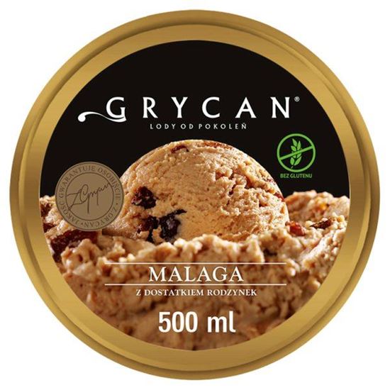 Grycan Lody malaga 500 ml