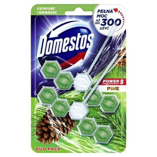 Domestos Power 5 Pine Kostka toaletowa 2 x 55 g