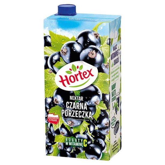 Hortex Nektar czarna porzeczka 2 l