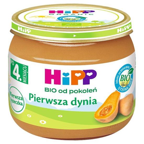 HiPP BIO Pierwsza dynia po 4. miesiącu 80 g