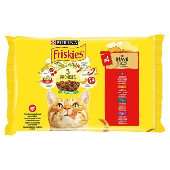 Friskies Karma dla kotów w sosie 340 g (4 x 85 g)