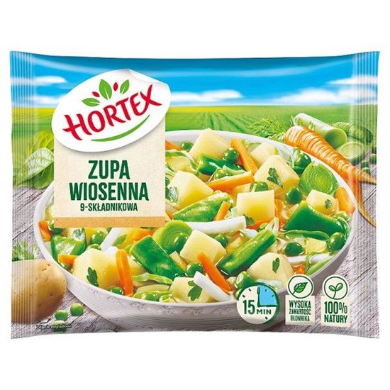 Hortex Zupa wiosenna 9-składnikowa 450 g