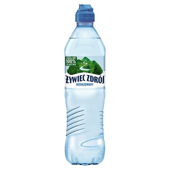 Żywiec Zdrój Niegazowany Woda źródlana 700 ml